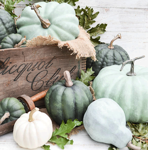 Dry Brushed Chalk Painted Pumpkins  fall decor idea