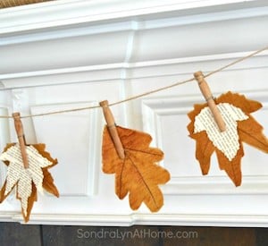 Book Page Fall Leaves Banner 