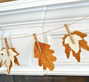 Book Page Fall Leaves Banner