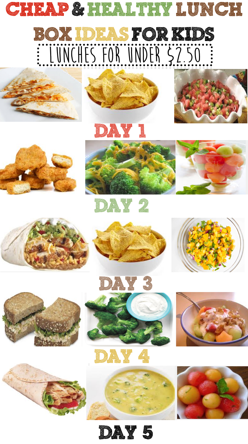Cheap Healthy Lunch Box Ideas For Kids Week 3 Prudent Penny Pincher