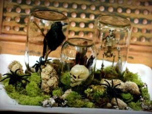 creepy terrarium 