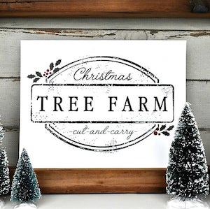 Christmas Tree Farm