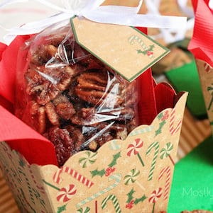 100 Easy DIY Neighbor Christmas Gifts - Prudent Penny Pincher