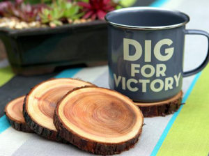 natural-branch-coasters