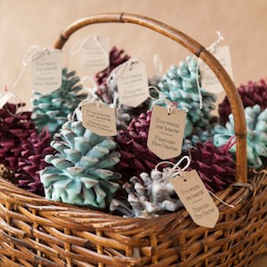 DIY Pinecone Fire Starters Christmas gift