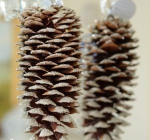 Frosted Pinecone Ornament