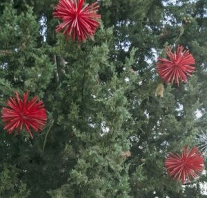 Bricolaje al aire libre Starburst adornos navideños en un árbol 