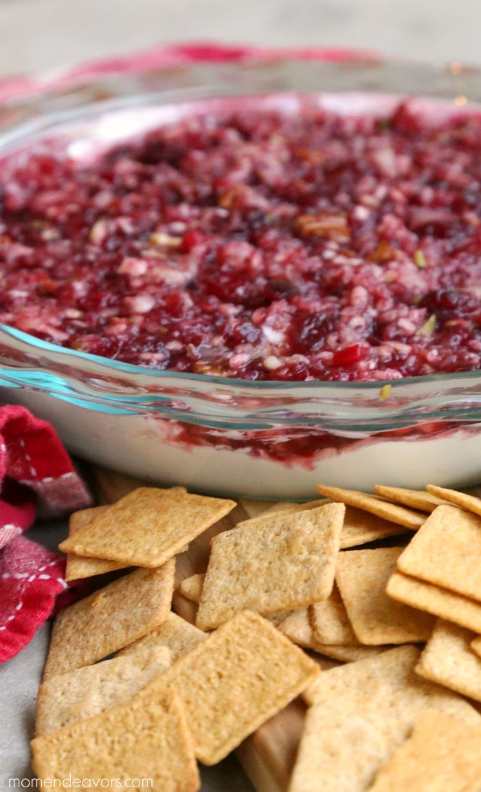 30 Best Christmas Party Dips - Prudent Penny Pincher
