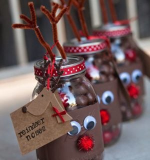 Reindeer Mason Jar Treats