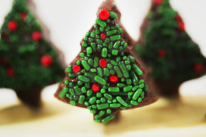 Easy Christmas Fudge with Spirnkles 