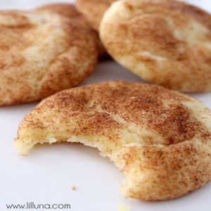 The Best Snickerdoodles