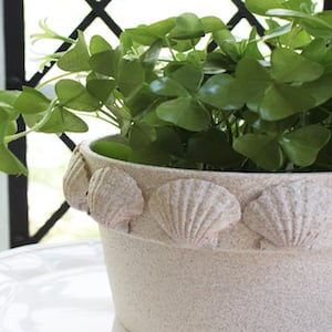 DIY Scallop Terra Cotta Pot Home Decor