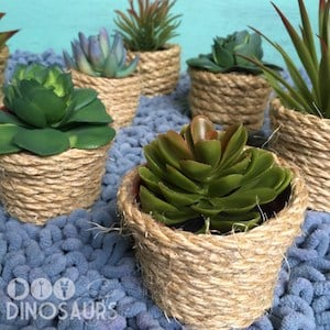 Flower Pot Succulent Planters 