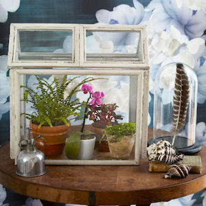 Mini invernadero de bricolaje hecho con marco de fotos para la decoración del hogar