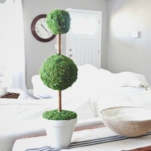 diy Moss Topiaries home decor