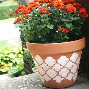 Stencil Clay Pot planter