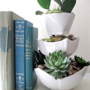 DIY Succulent Tiered Ceramic Bowls home decor