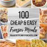 100 Cheap and Easy Freezer Meals