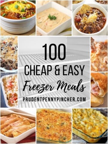 100 Cheap and Easy Freezer Meals