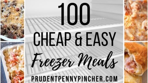 100 Cheap and Easy Freezer Meals