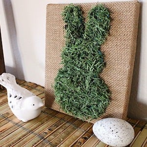 Moss Covered Bunny Burlap Canvas