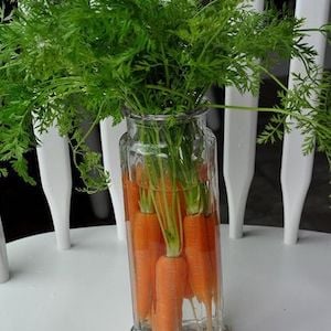 Carrots in a Glass Vase