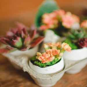 easter decorations diy egg easy cheap eggshell planters nest robin le prudentpennypincher