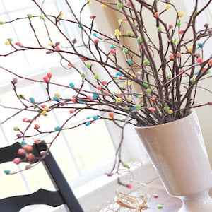 Jelly Bean Tree