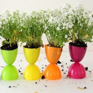 Plastic Egg Flower Pots