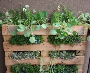 Vertical Wood Flower Garden