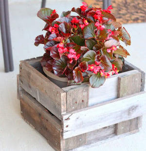 Pallet Planter Box