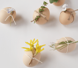 Natural Eggs wrapped with plant and floral sprigs