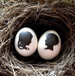 Silhouette Eggs