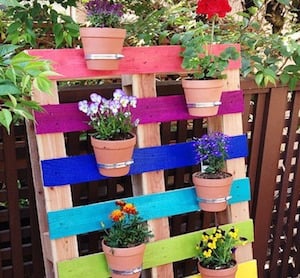 Upcycled Rainbow Pallet Planter with terra cotta pots