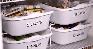 Dollar Store Food Storage Bins