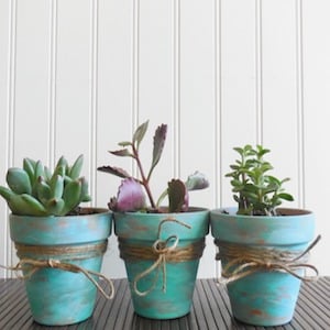 Rustic Succulent Pots spring decorating