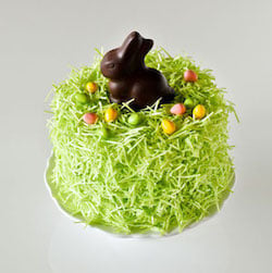 Chocolate Easter Bunny Cake