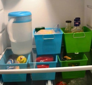 Refrigerator Storage using plastic bins 