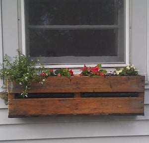 Caja de jardín de flores de ventana 