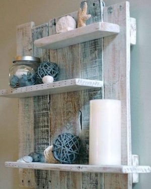 Wood pallet Shelf project