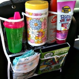 dollar tree Car organization using over the door shoe organizer 