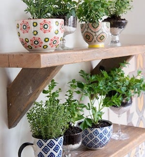 Coffee Mug Planters 