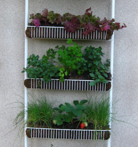 50 Cheap and Easy DIY Herb Garden Ideas – Protasm