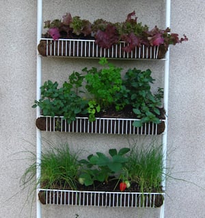 Spice Rack Planter 