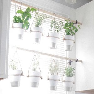 indoor Hanging Kitchen herb Garden