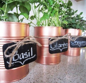 DIY Copper Tin Can Herb Garden