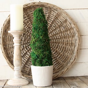 Moss Topiary Tree Dollar Store Farmhouse Decor Idea