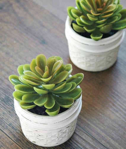 Dollar Store Succulent Jars