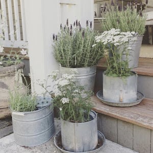 Farmhouse Porch Galvanized Bucket Planters