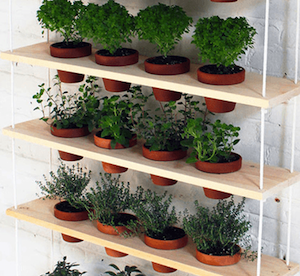 Hanging Herb Garden Using Wood Planks 